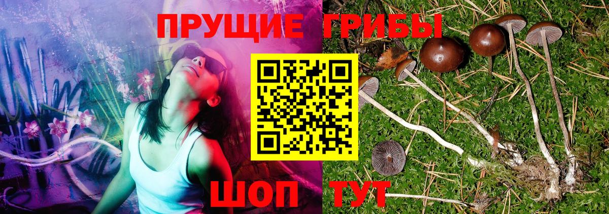 Ухта  Галлюциногенные грибы GOLDEN TEACHER  Вход с VPN 